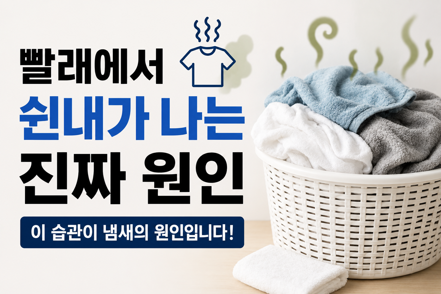 빨래쉰네 썸네일